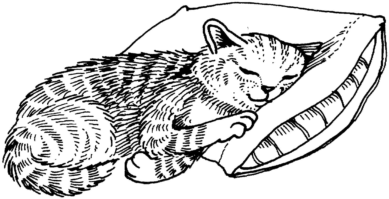 Раскраска Кошка спит на подушке головой