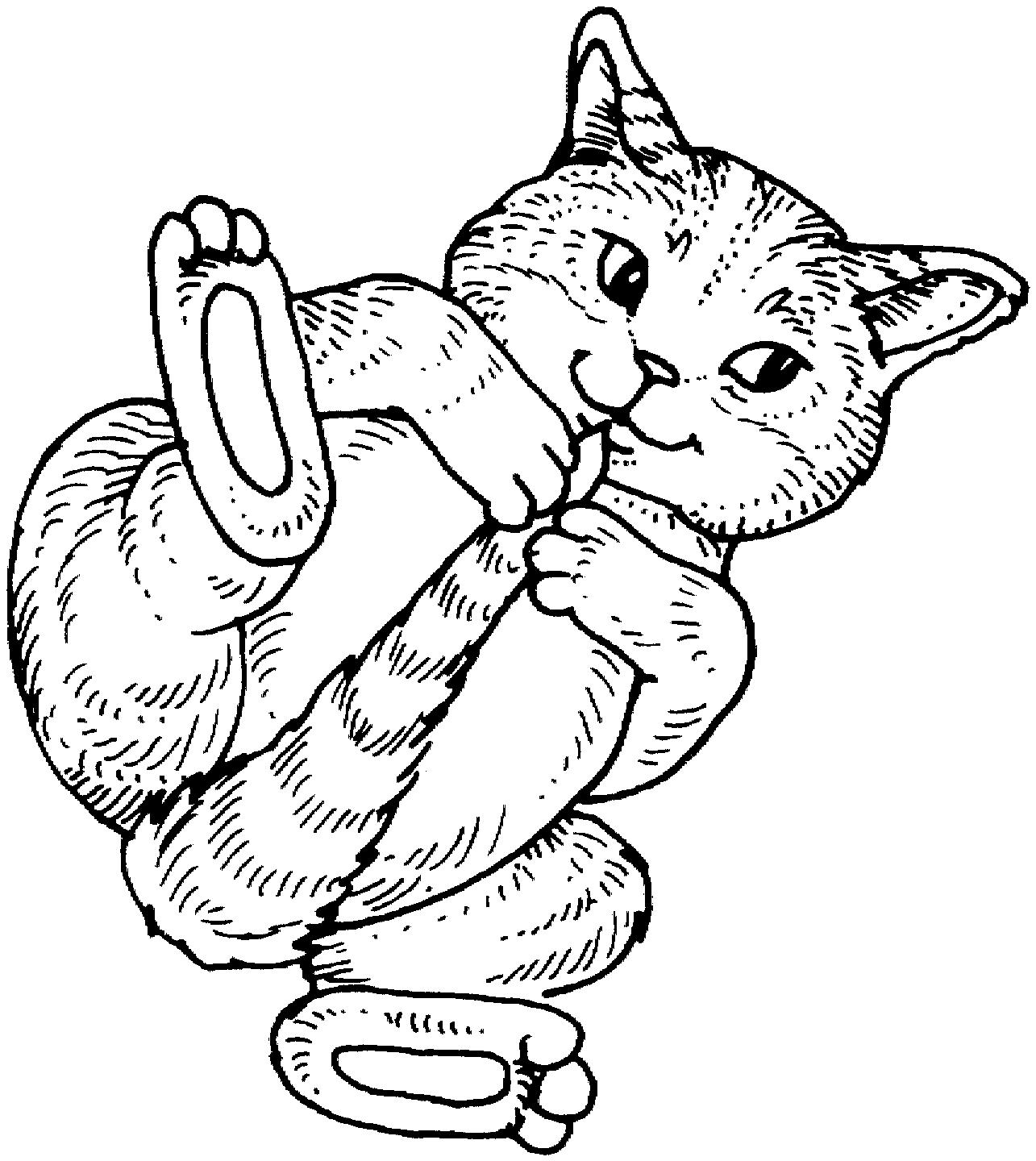 Раскраска Кошка играет с хвостом
