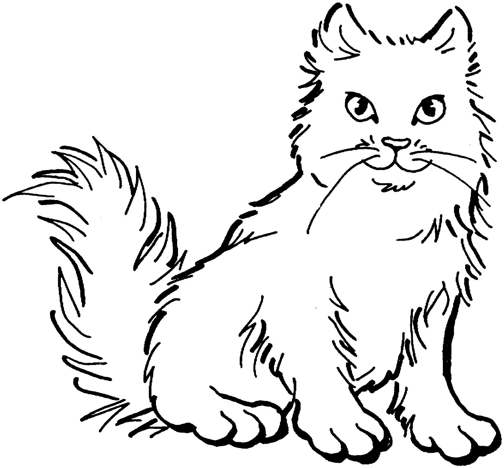 Раскраска Пушистая кошка с пушистым хвостом