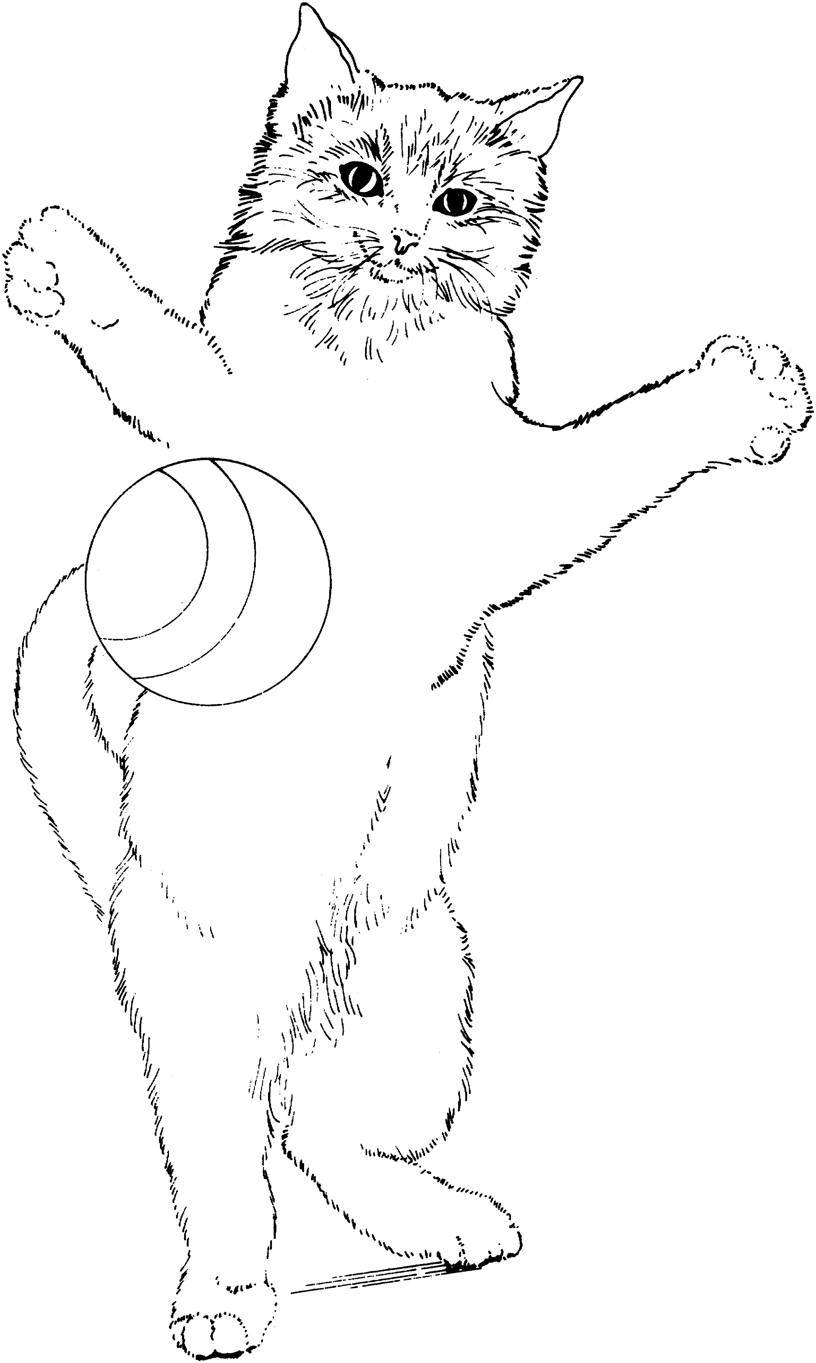 Раскраска Кошка прыгает за мячом