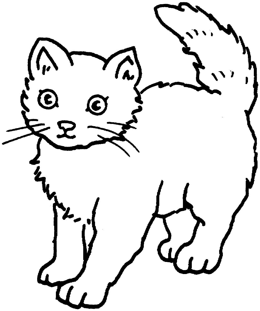 Раскраска Напуганный котенок