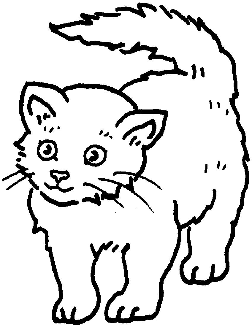 Раскраска Любопытный котенок