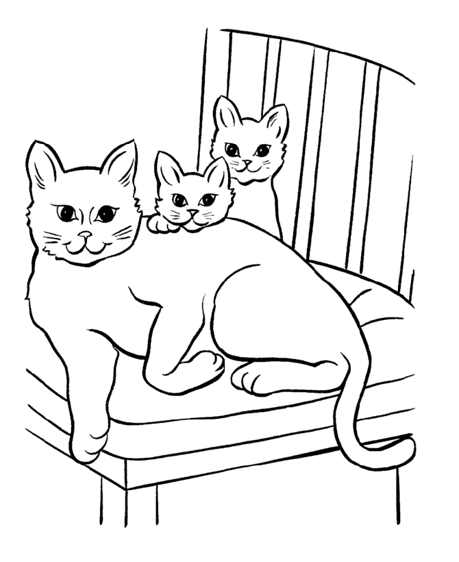 Раскраска Кошка с котятами на стуле