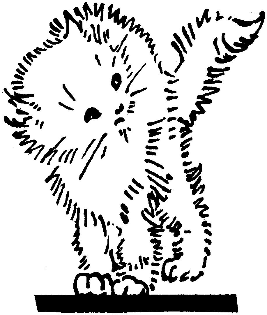 Раскраска Лохматый котенок