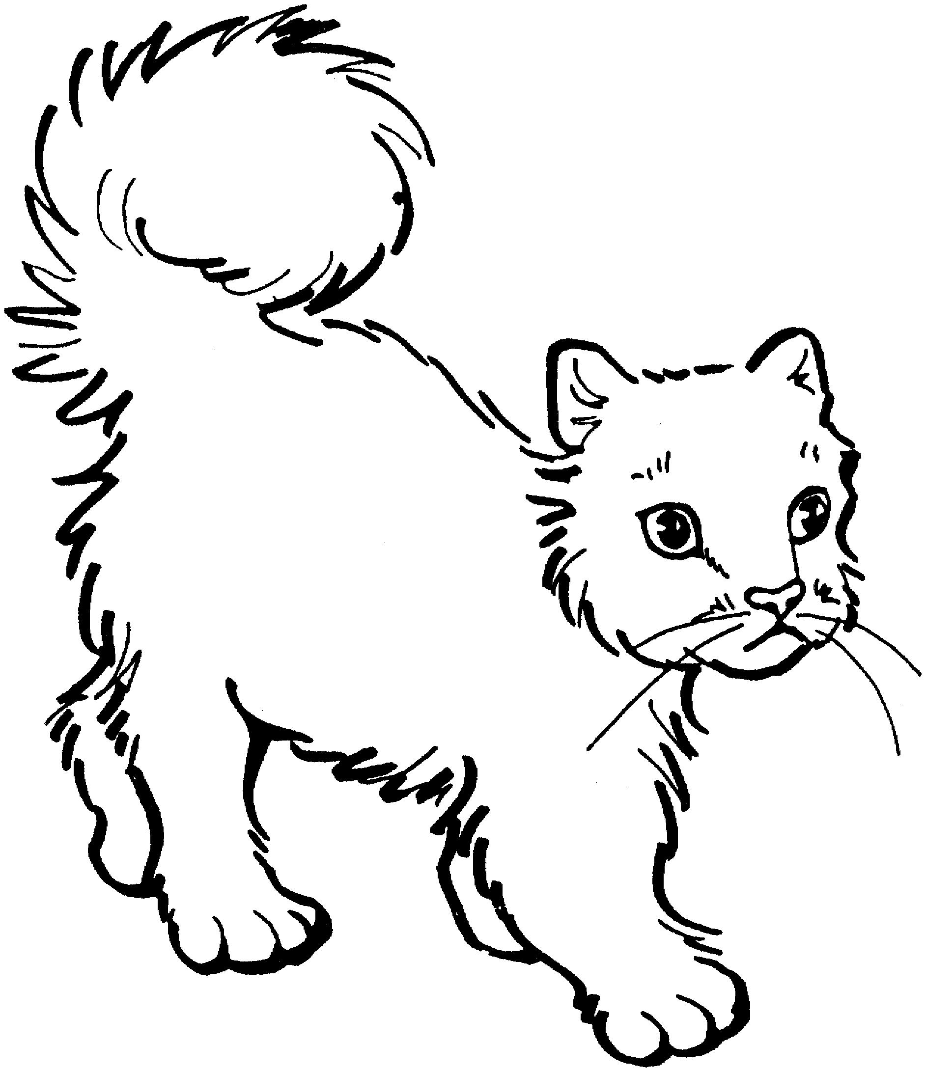 Раскраска Грустный пушистый кот