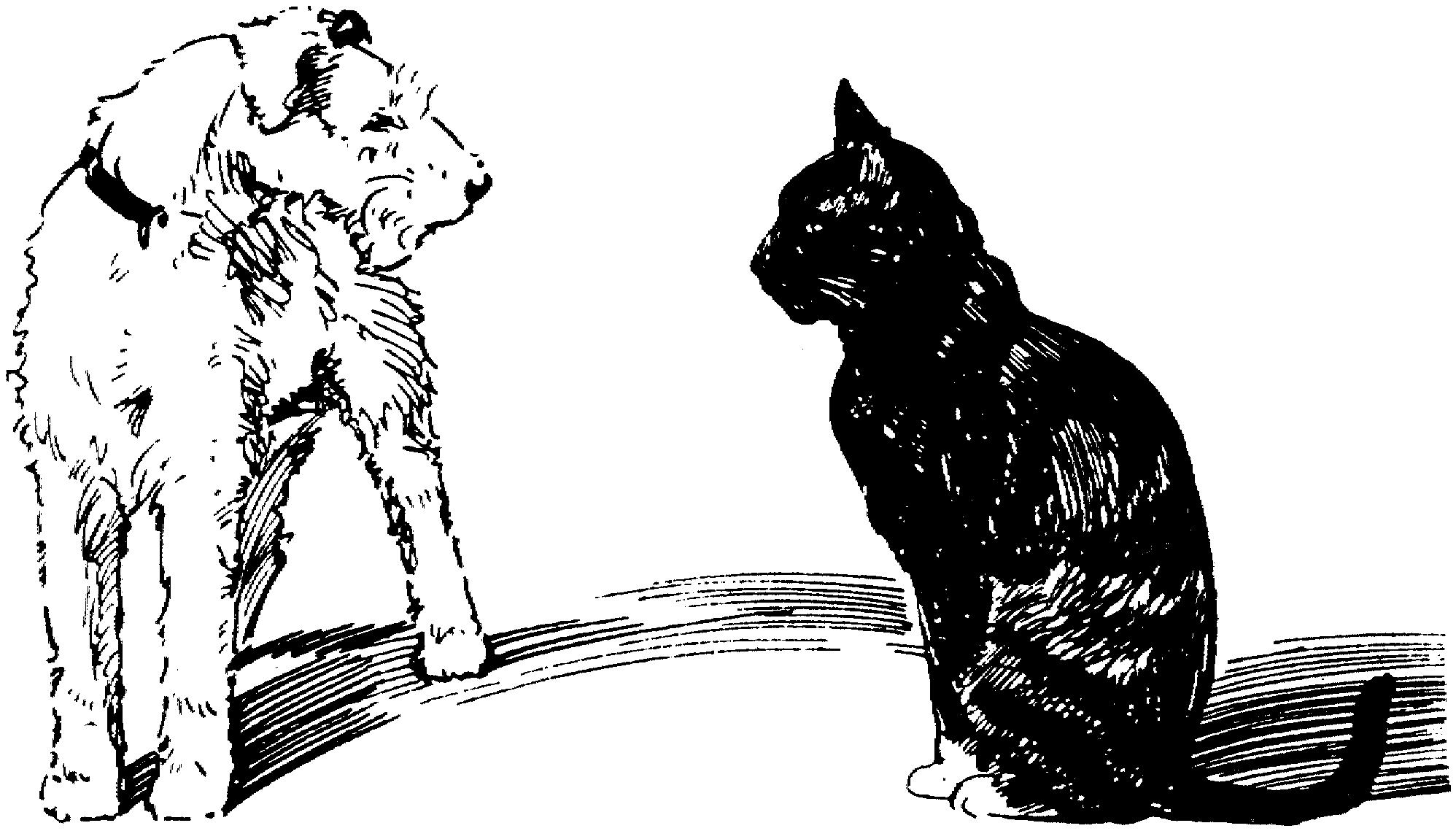 Раскраска Черный кот и собака эрдельтерьер