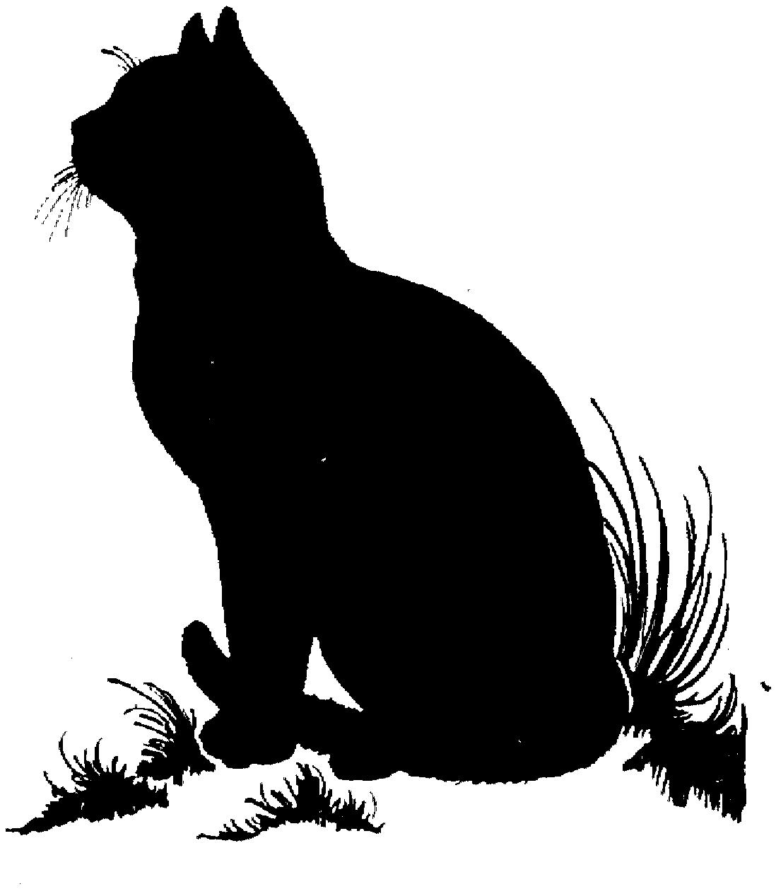 Раскраска Черный кот