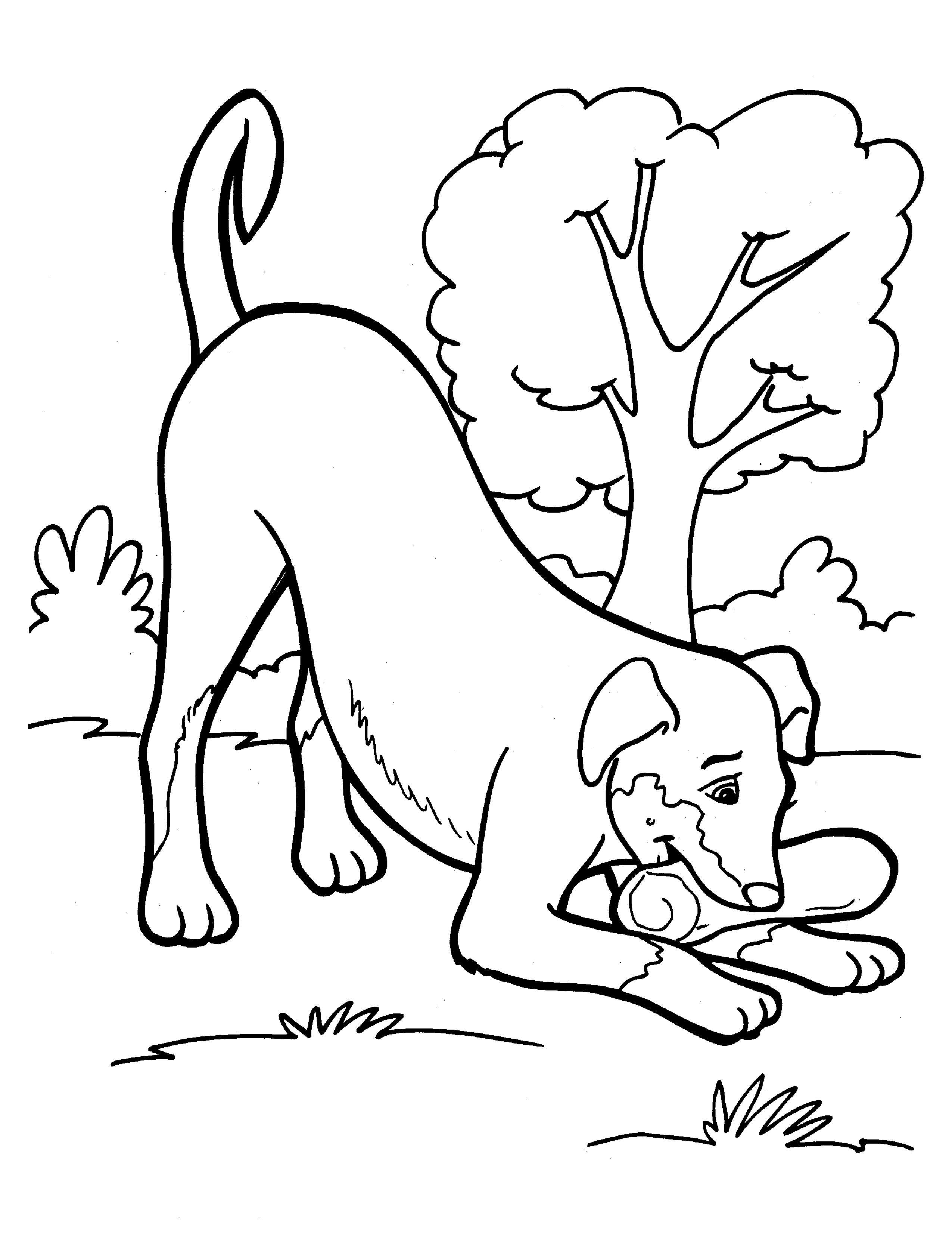 Раскраска Собака играет с поленом