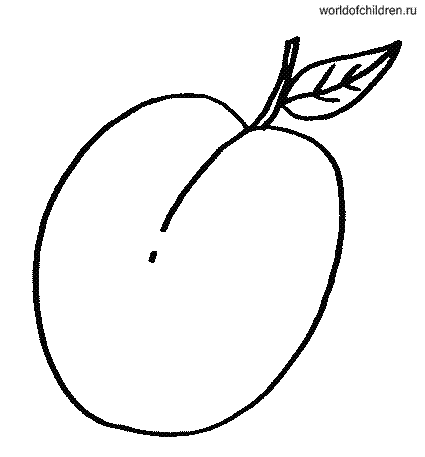 Раскраска абрикос
