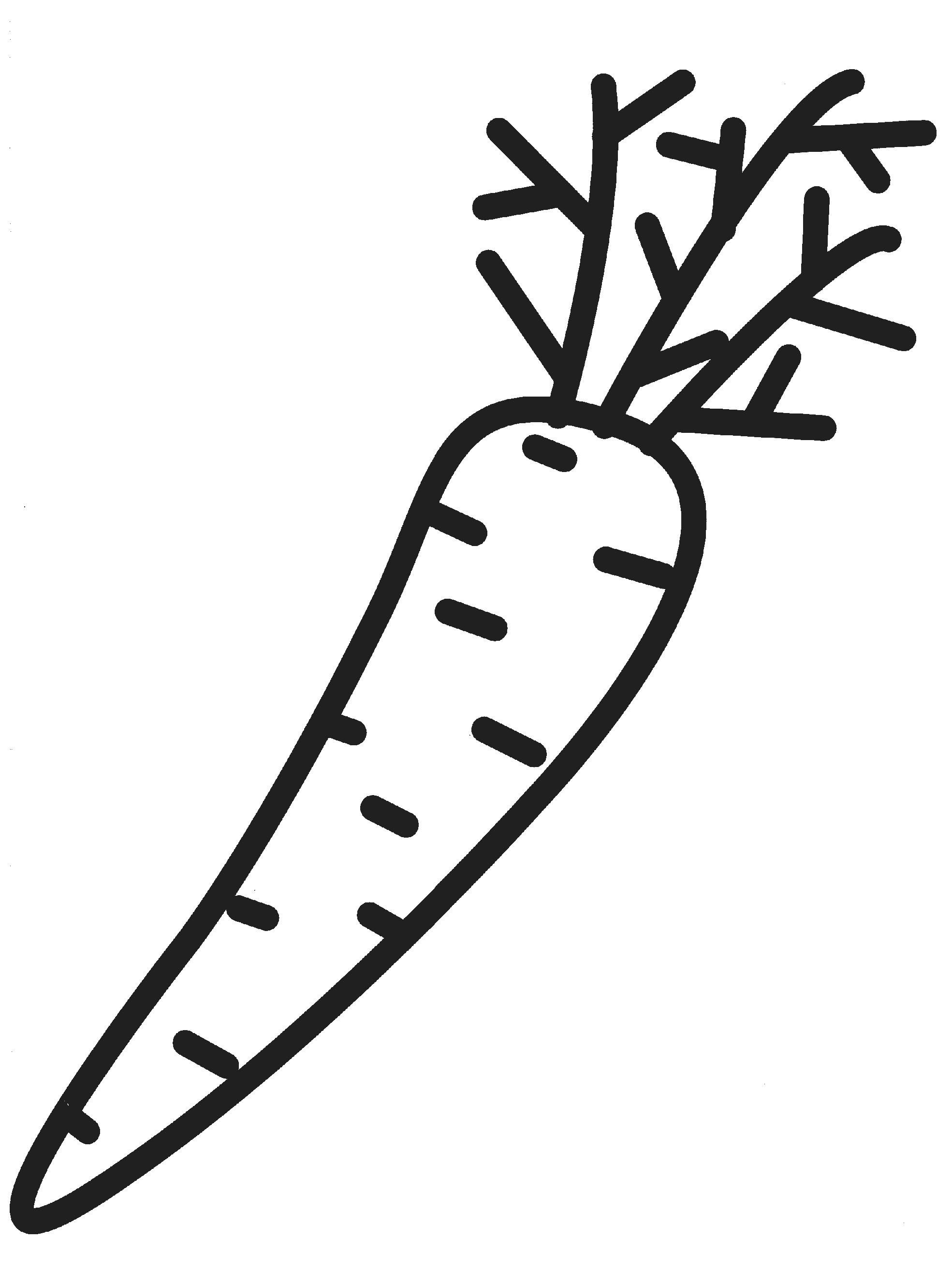 Раскраска морковь