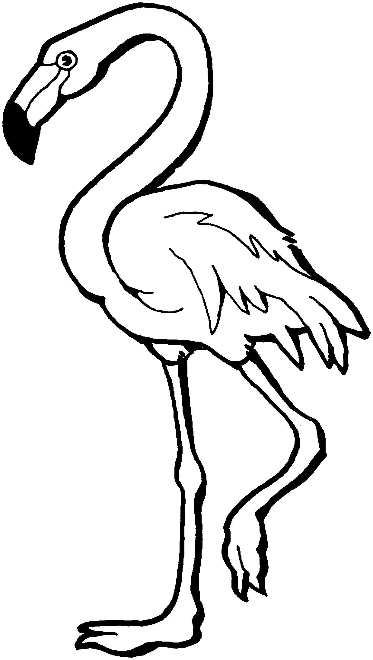раскраска фламинго