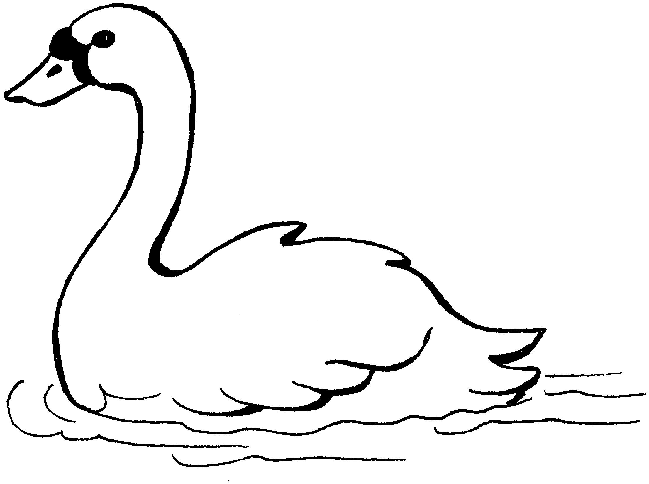 Распечатать картинку лебедь. Лебедь кликун раскраска. Лебедь кликун раскраска для детей. Лебедь раскраска для детей. Лебедь контур.