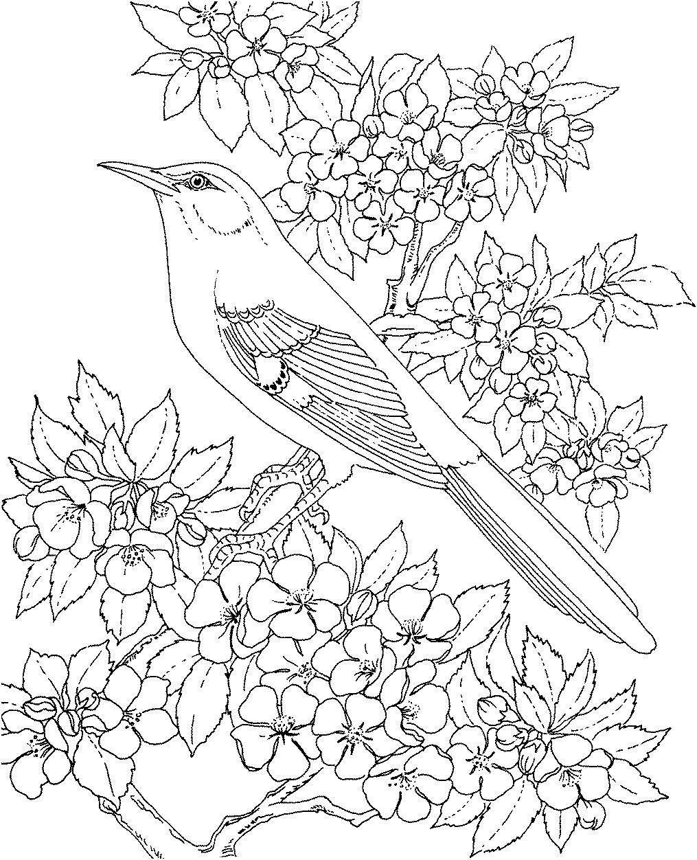 Раскраска Дикая птица на ветке с цветами