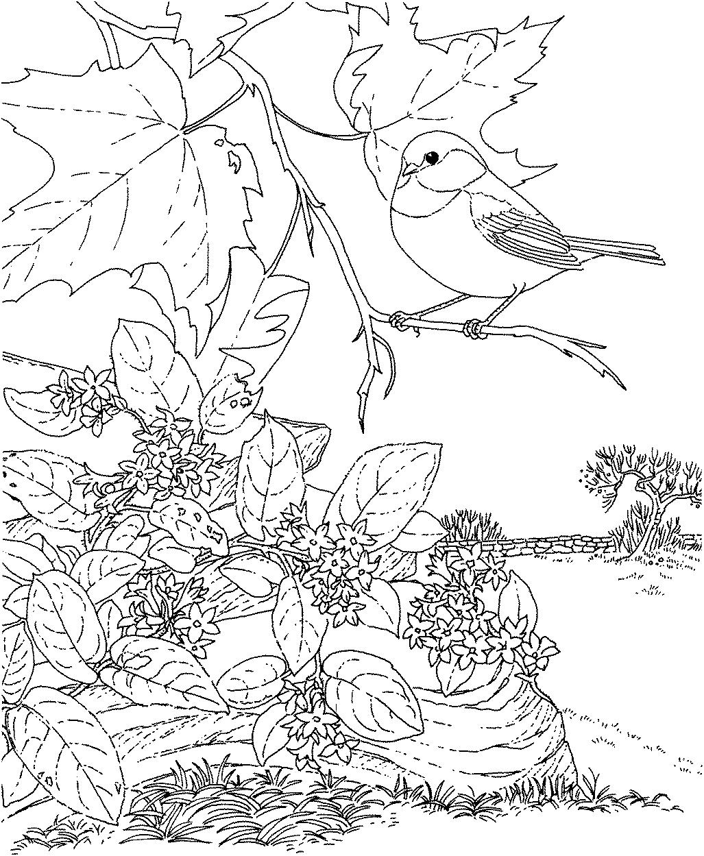 Раскраска Птица на осеннем дереве