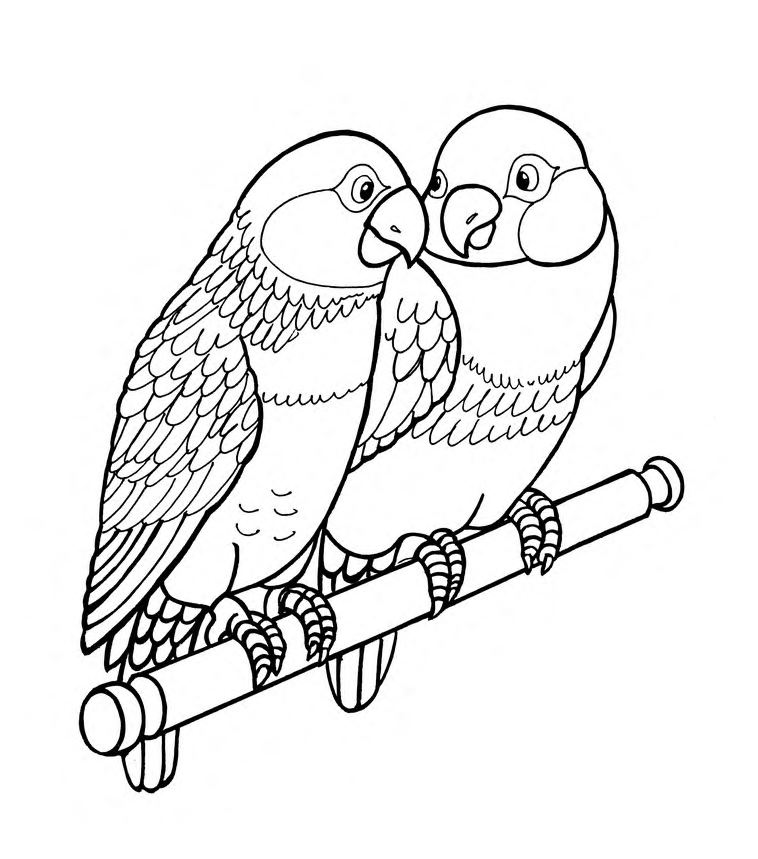 Раскраска Два попугая на жердочке