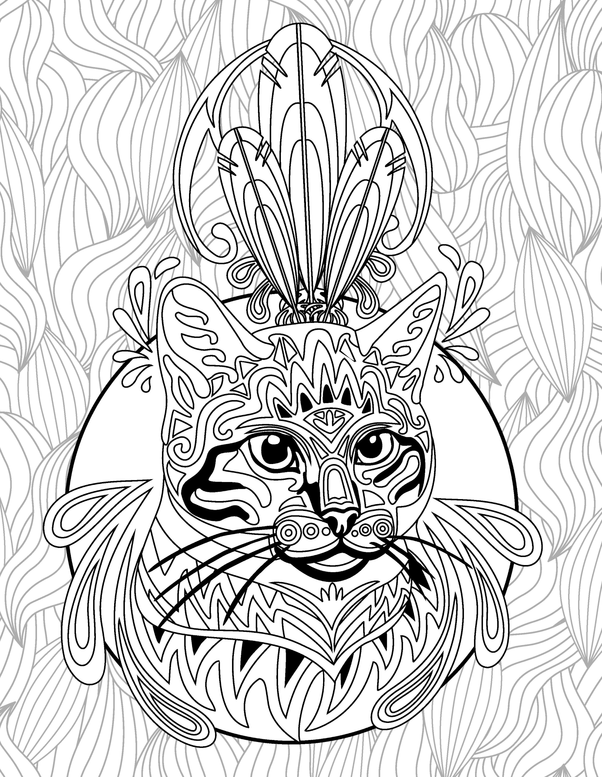 Раскраска Релакс кошка и перья
