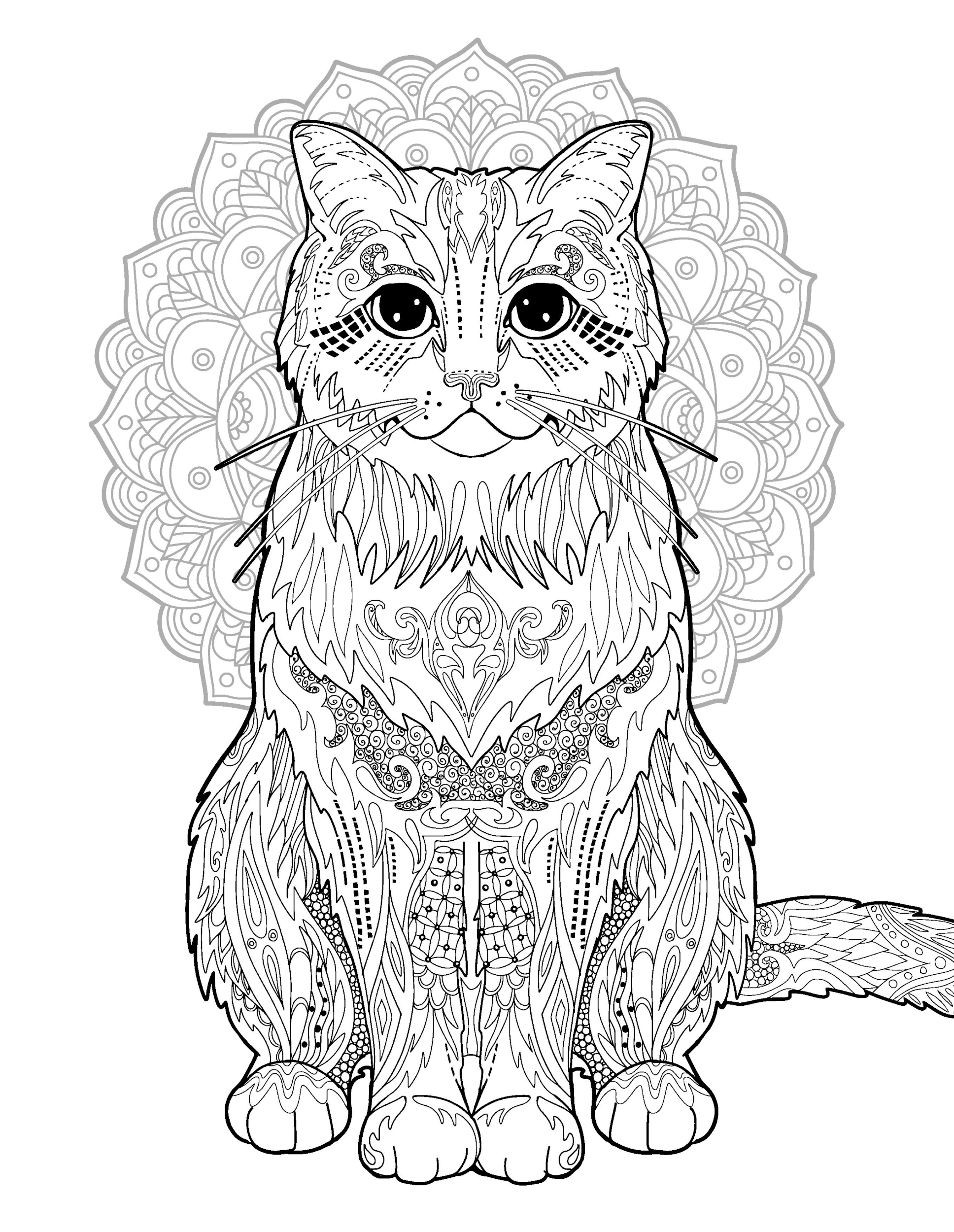 Раскраска Релакс кот с узорами