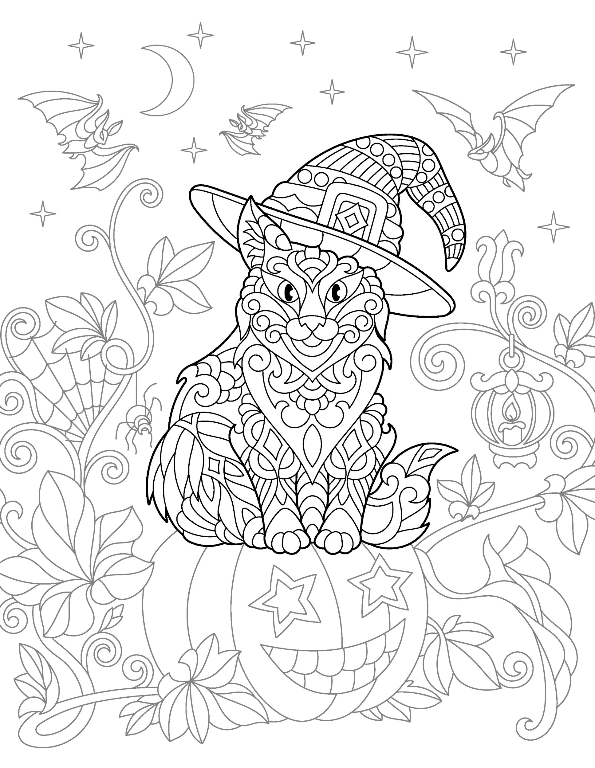Раскраска Релакс кот в шляпе ведьмы