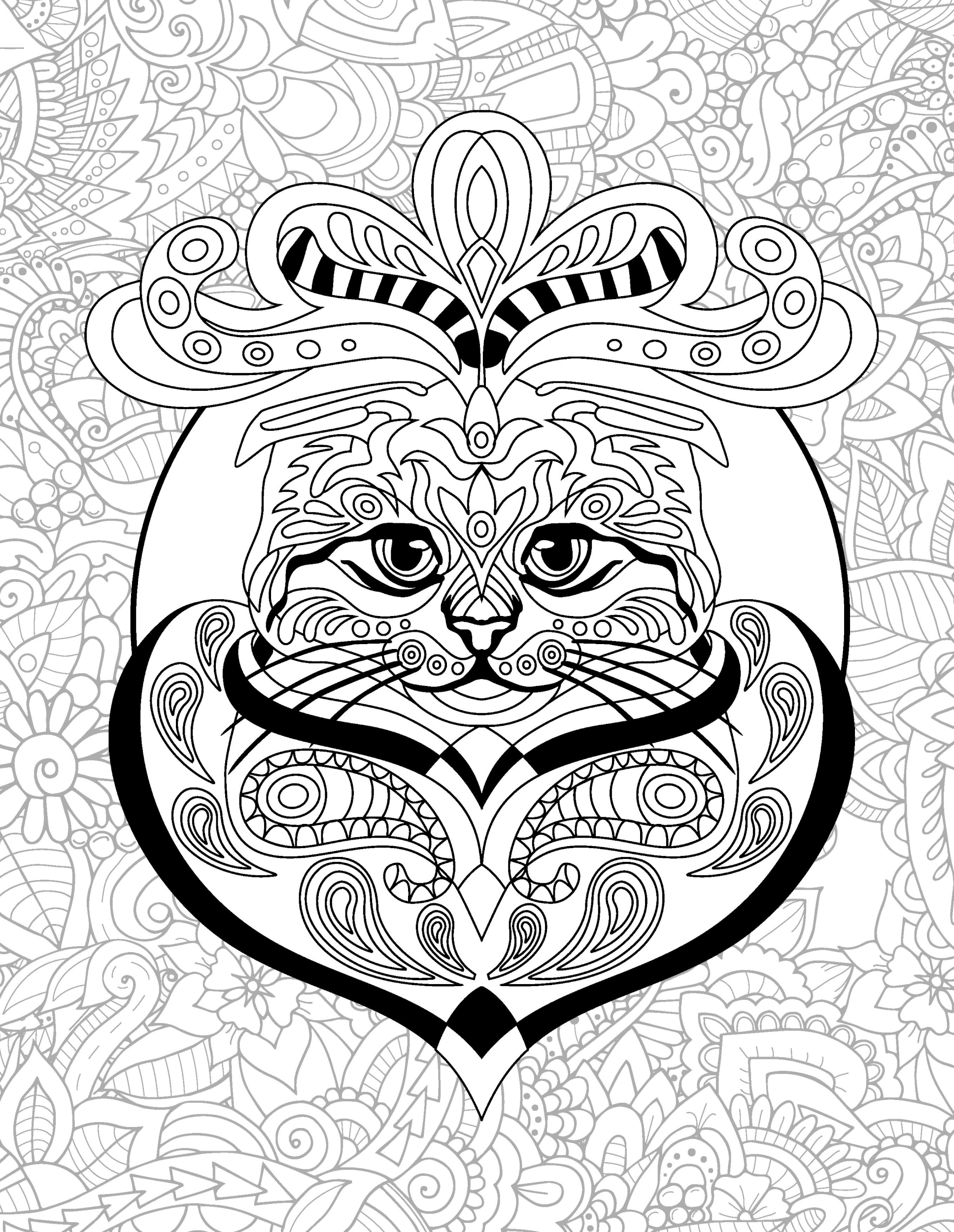 Раскраска Релакс симметричный кот