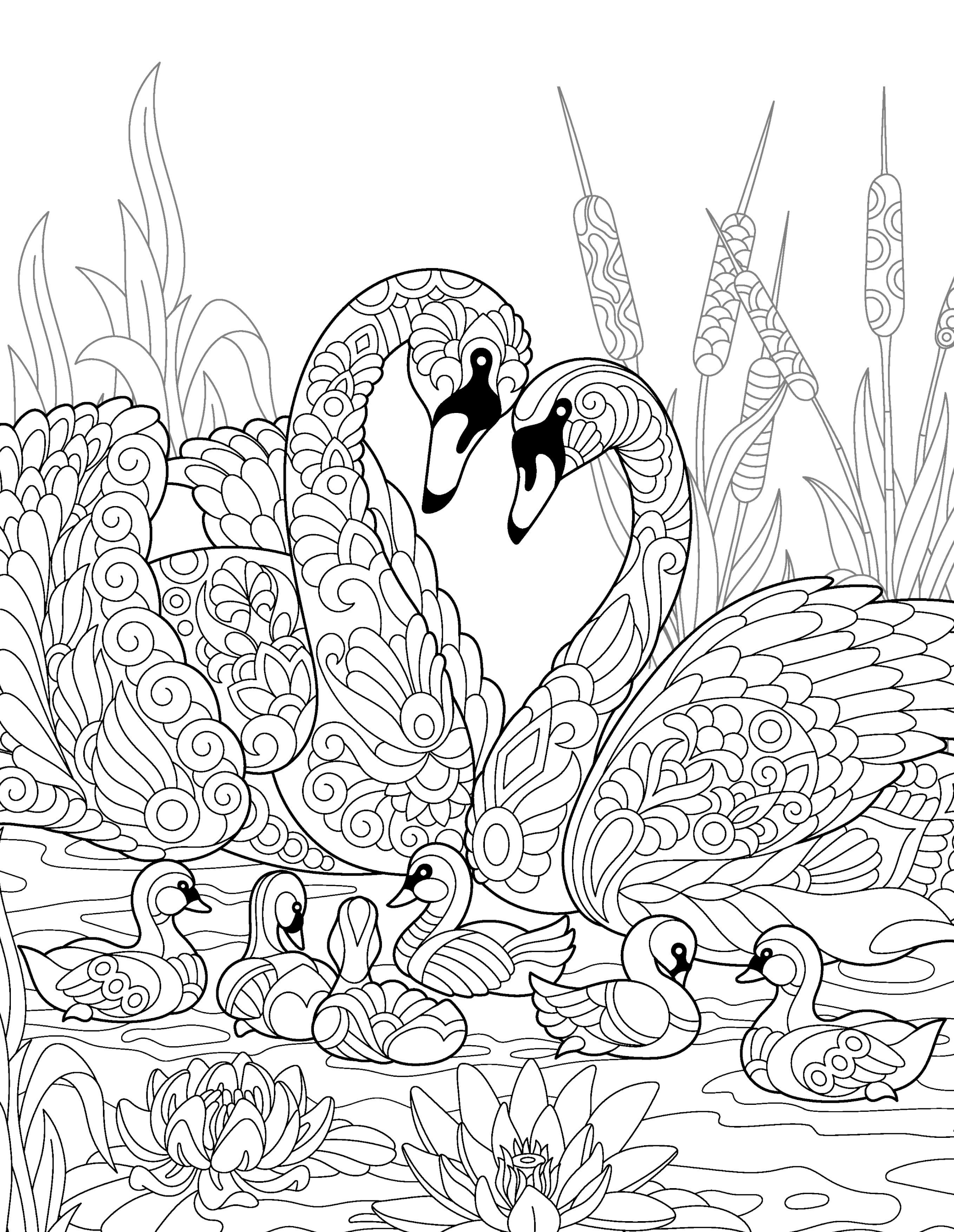 Раскраска Релакс лебеди и их детеныши