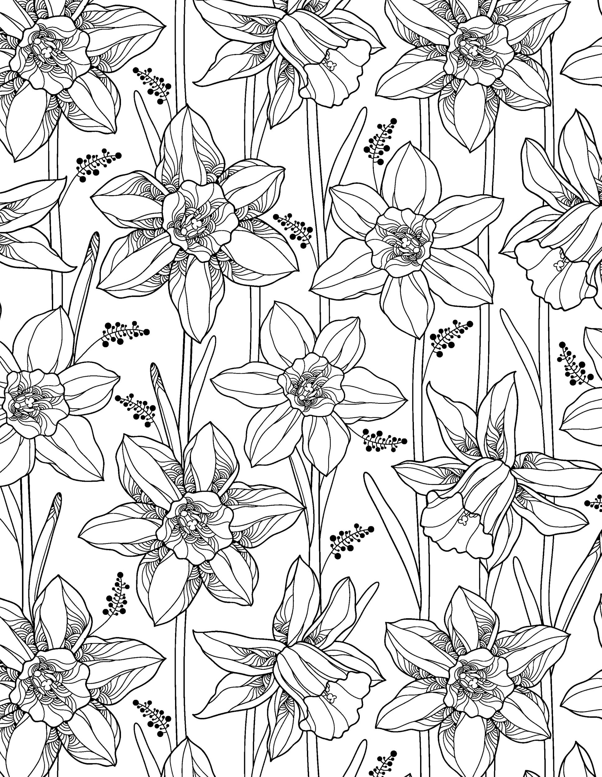 Раскраска Релакс цветы нарциссы