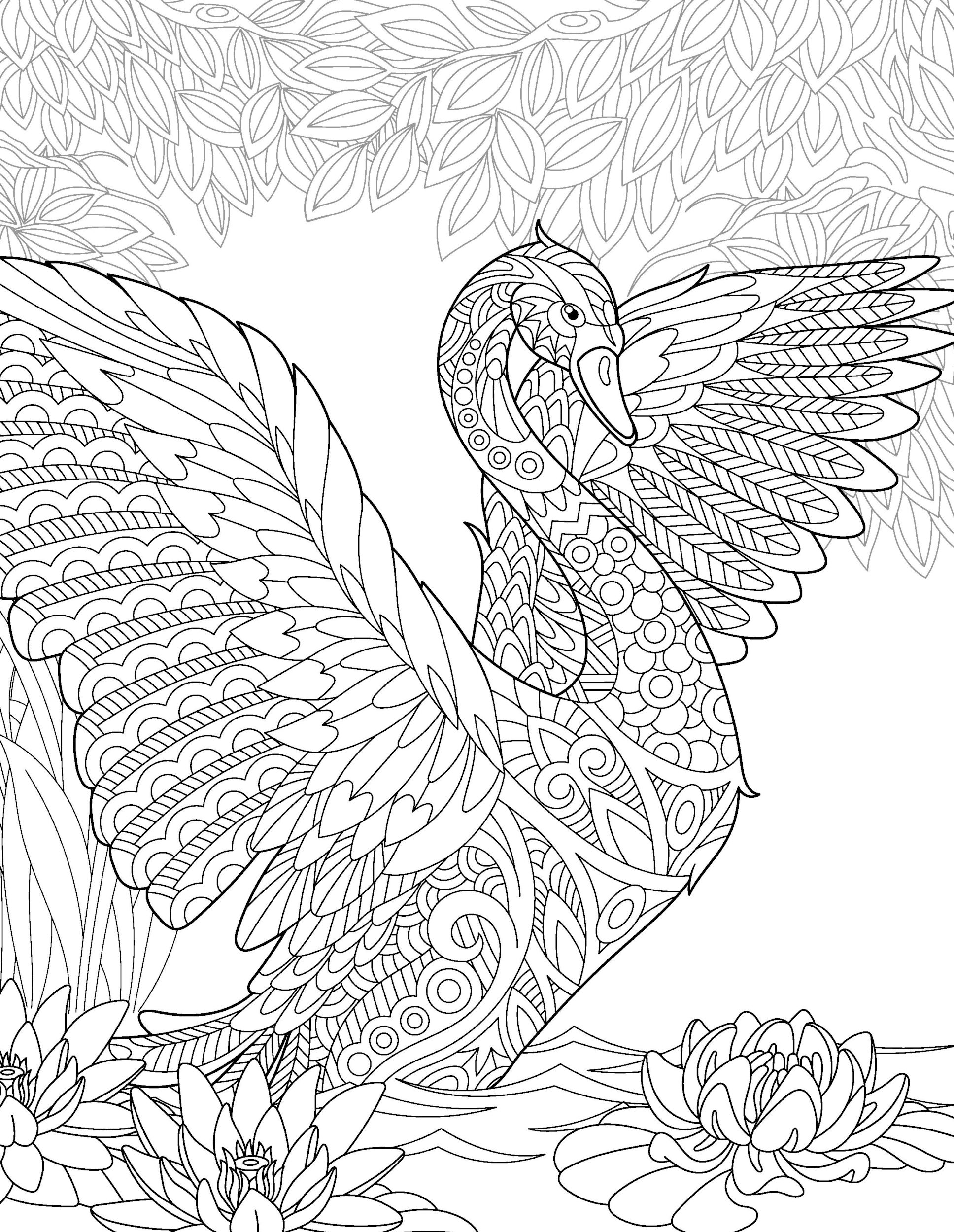 Раскраска Антистресс лебедь и водяная лилия