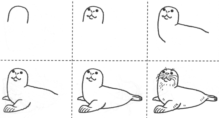 Учимся рисовать тюленя