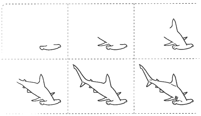 Учимся рисовать акулу-молот