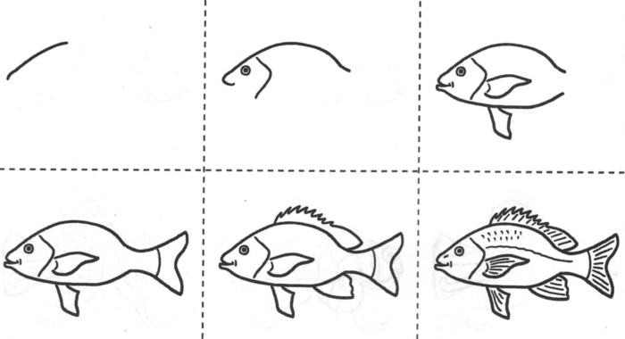 Учимся рисовать рыб