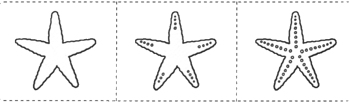 Рисуем морскую звезду